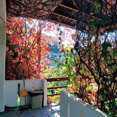 Aparthotel Oleander's Garden Traditional Cretan