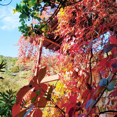 Hotel de apartamente Oleander's Garden Traditional Cretan *