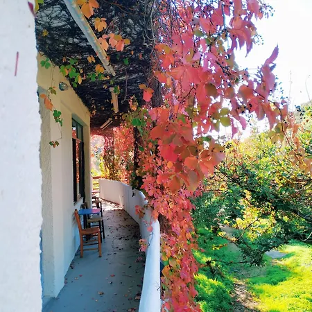 Oleander's Garden Traditional Cretan Hotel de apartamente *