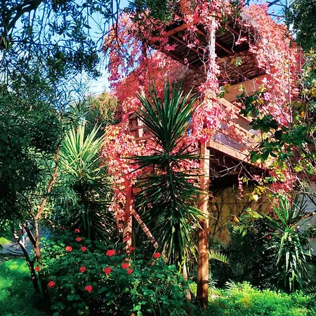 Hotel de apartamente Oleander's Garden Traditional Cretan Ferma